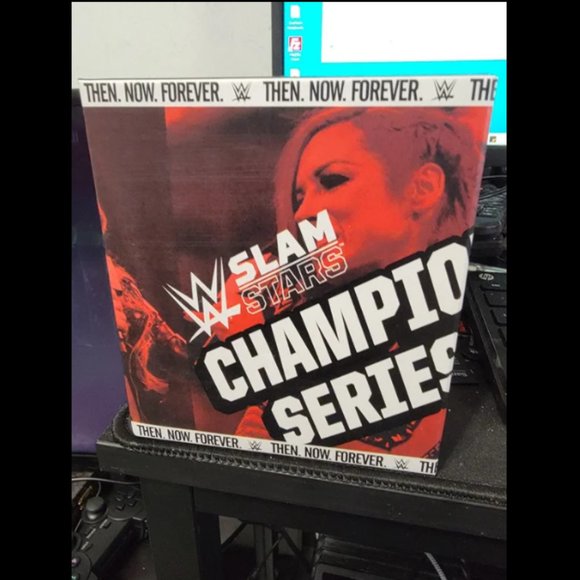 WWE Wrestling Loot Crate Bundle - Picture 7 of 11